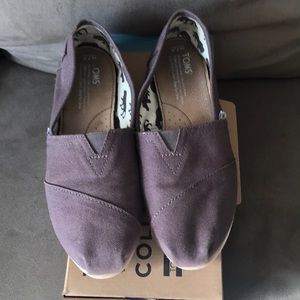 Toms size 7.5 Ash Canvas